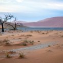 NAM HAR Dune45 2016NOV21 023 : 2016 - African Adventures, Hardap, Namibia, Southern, Africa, Dune 45, 2016, November